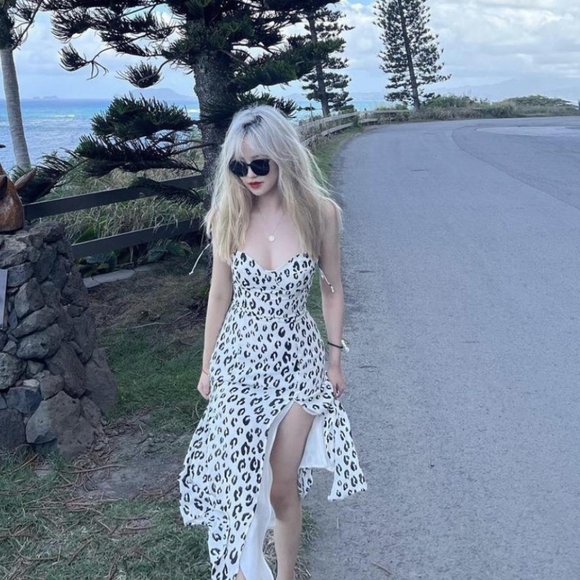 Reformation Juliette Dress NWOT size 0 snow leopard - Picture 3 of 6